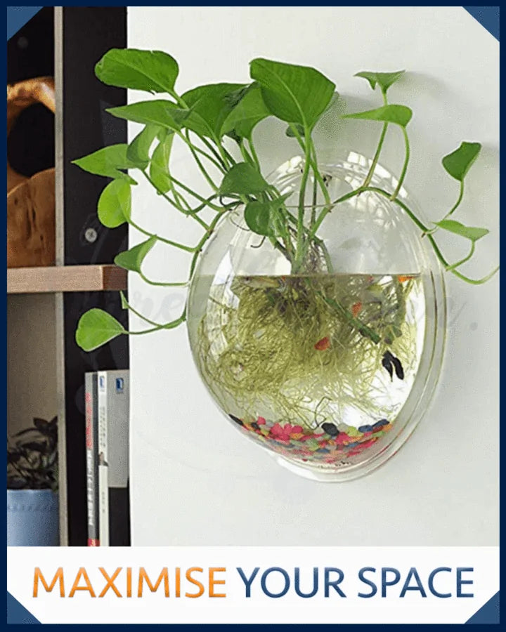 Float Bubble Plant Bowl