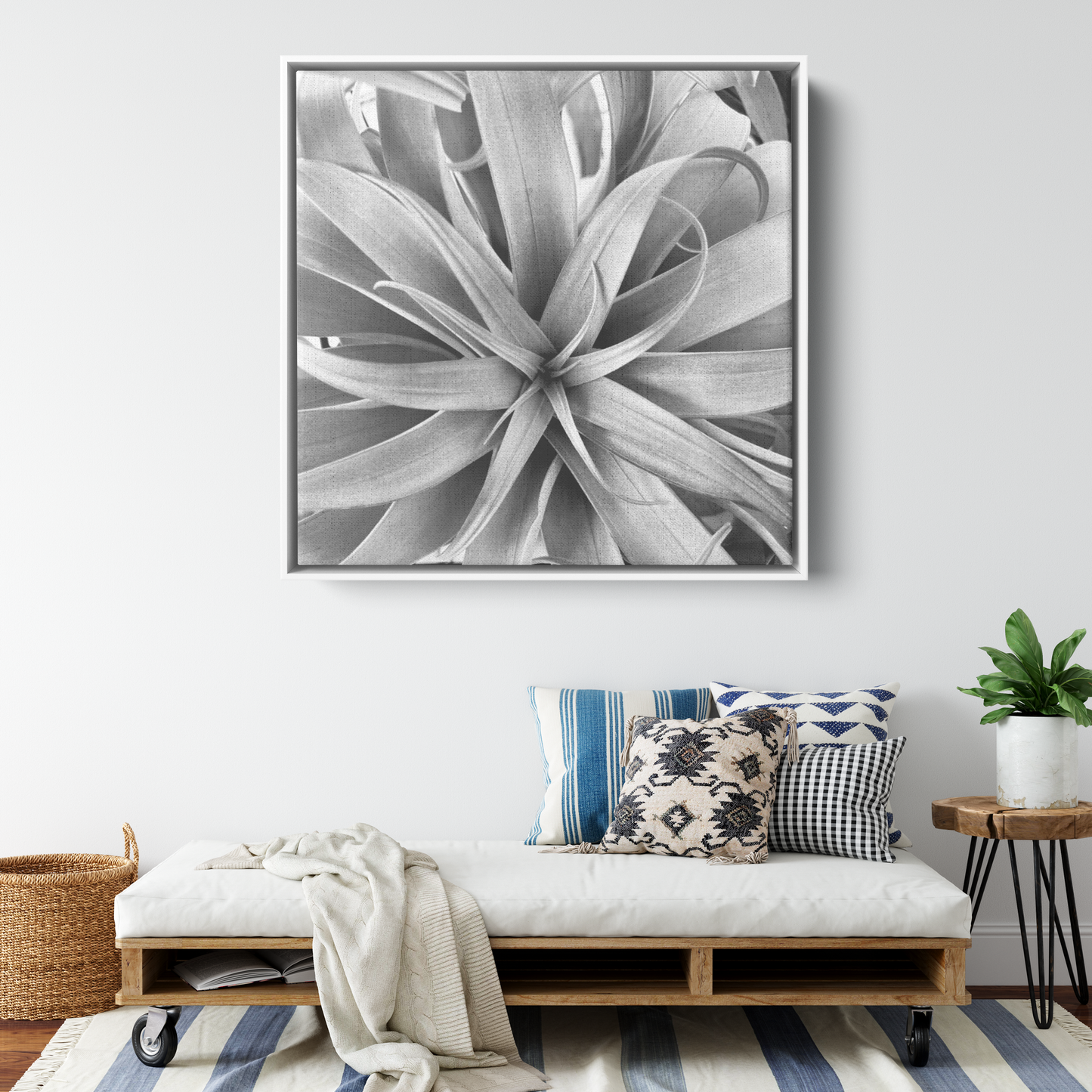 Air_Plant_Canvas_Framed_Canvas_Square_Large_Lifestyle_Mockup.png