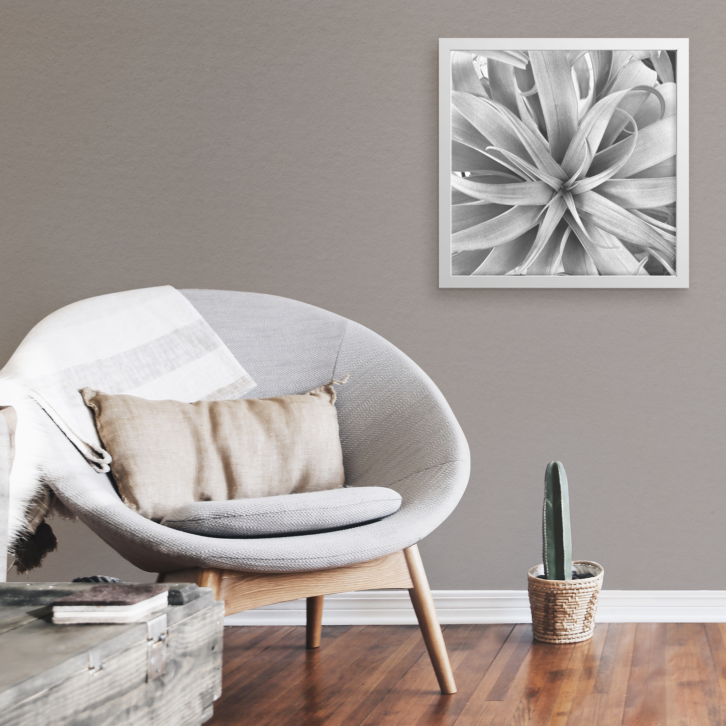 Air_Plant_Print_FAP_Square_Large_Lifestyle_Mockup.png