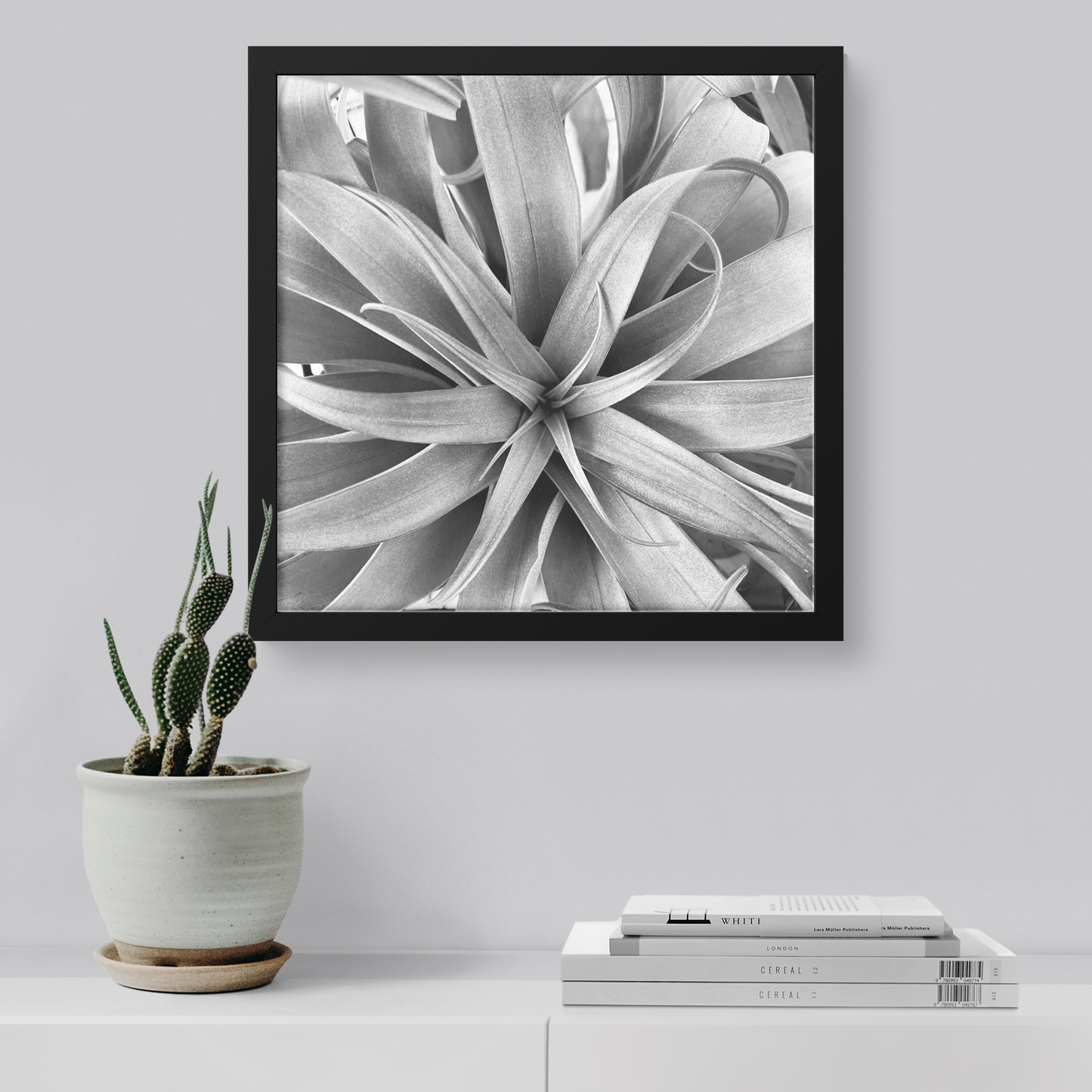 Air_Plant_Print_FAP_Square_Small_Lifestyle_Mockup.png