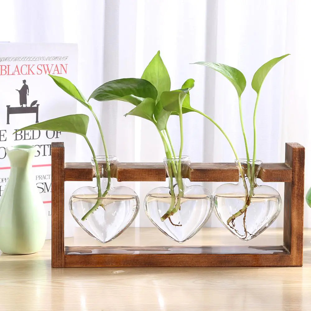 Tabletop Terrariums