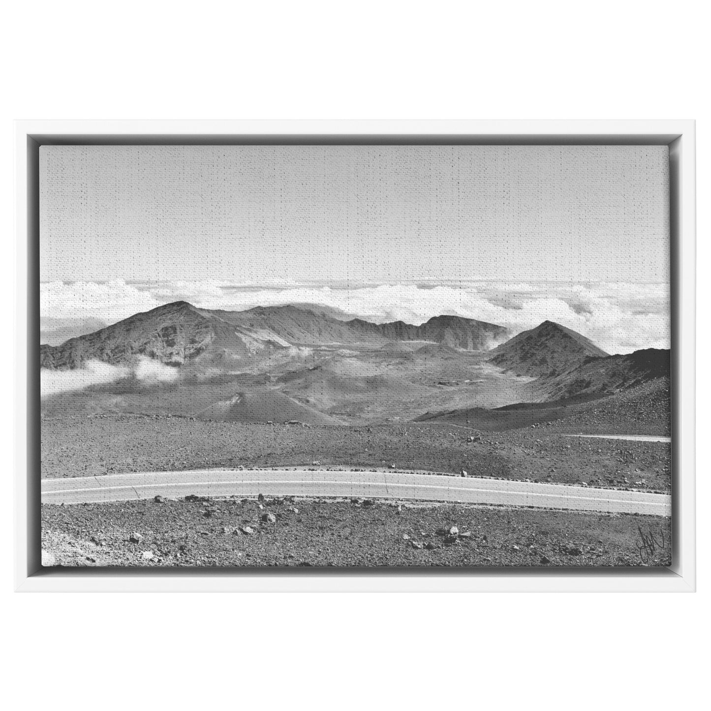 Dormant B&W