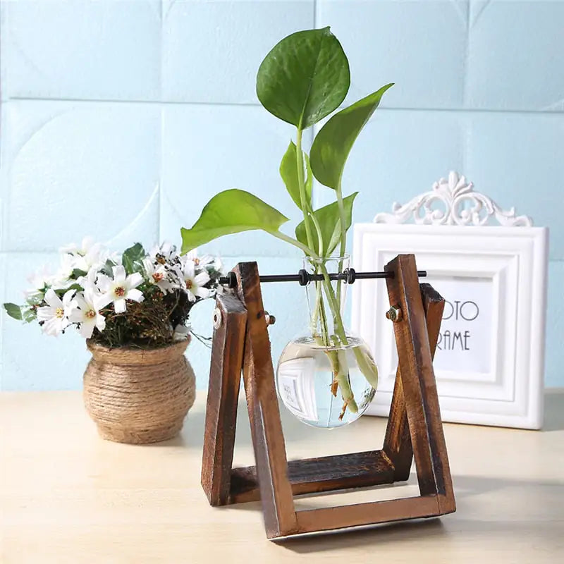 Tabletop Terrariums