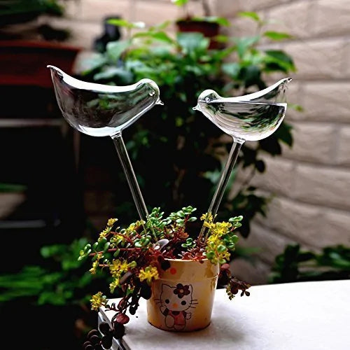 Self Watering Plant Glass
