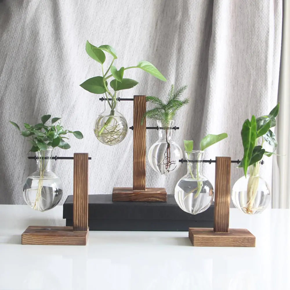Tabletop Terrariums