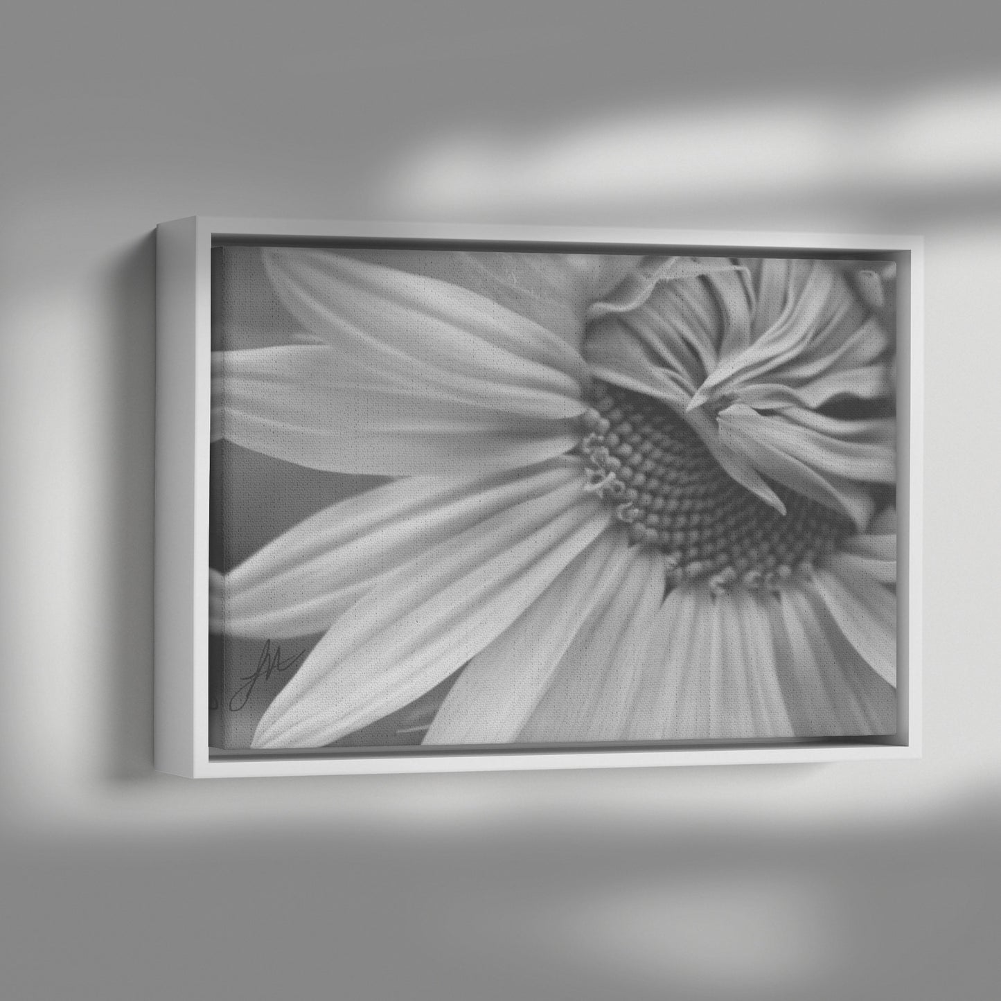Home Grown (Canvas)