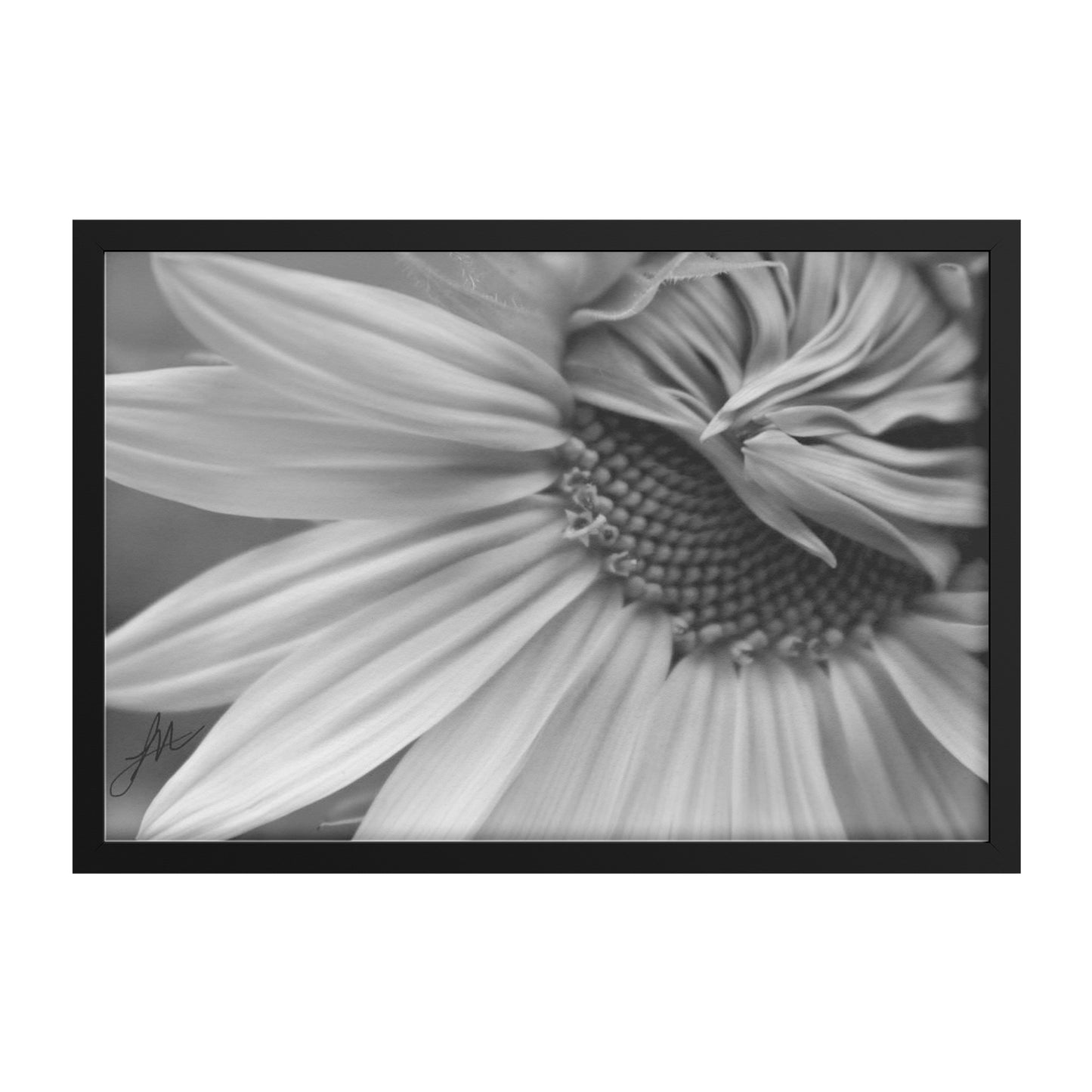 Home Grown (Print)