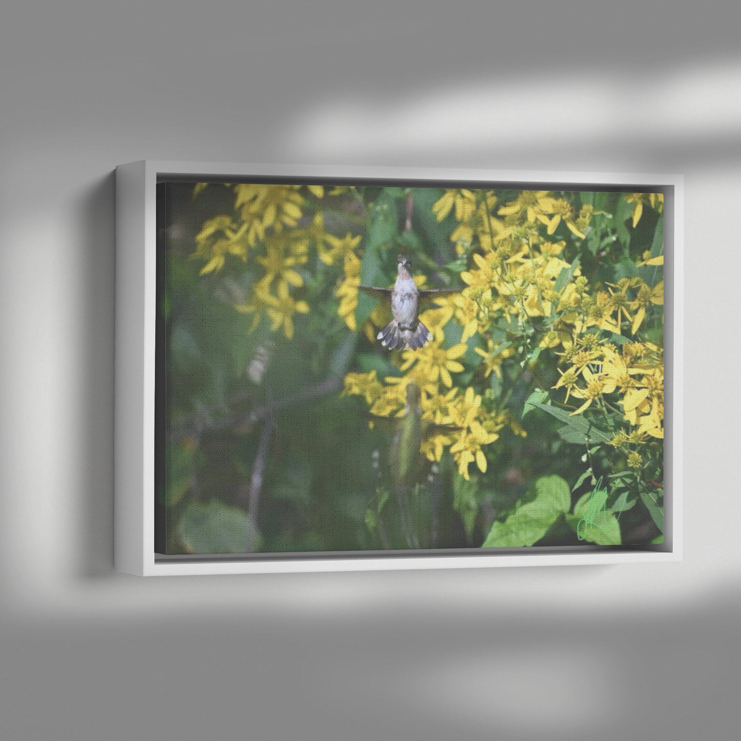 Two Hummingbirds (Canvas)