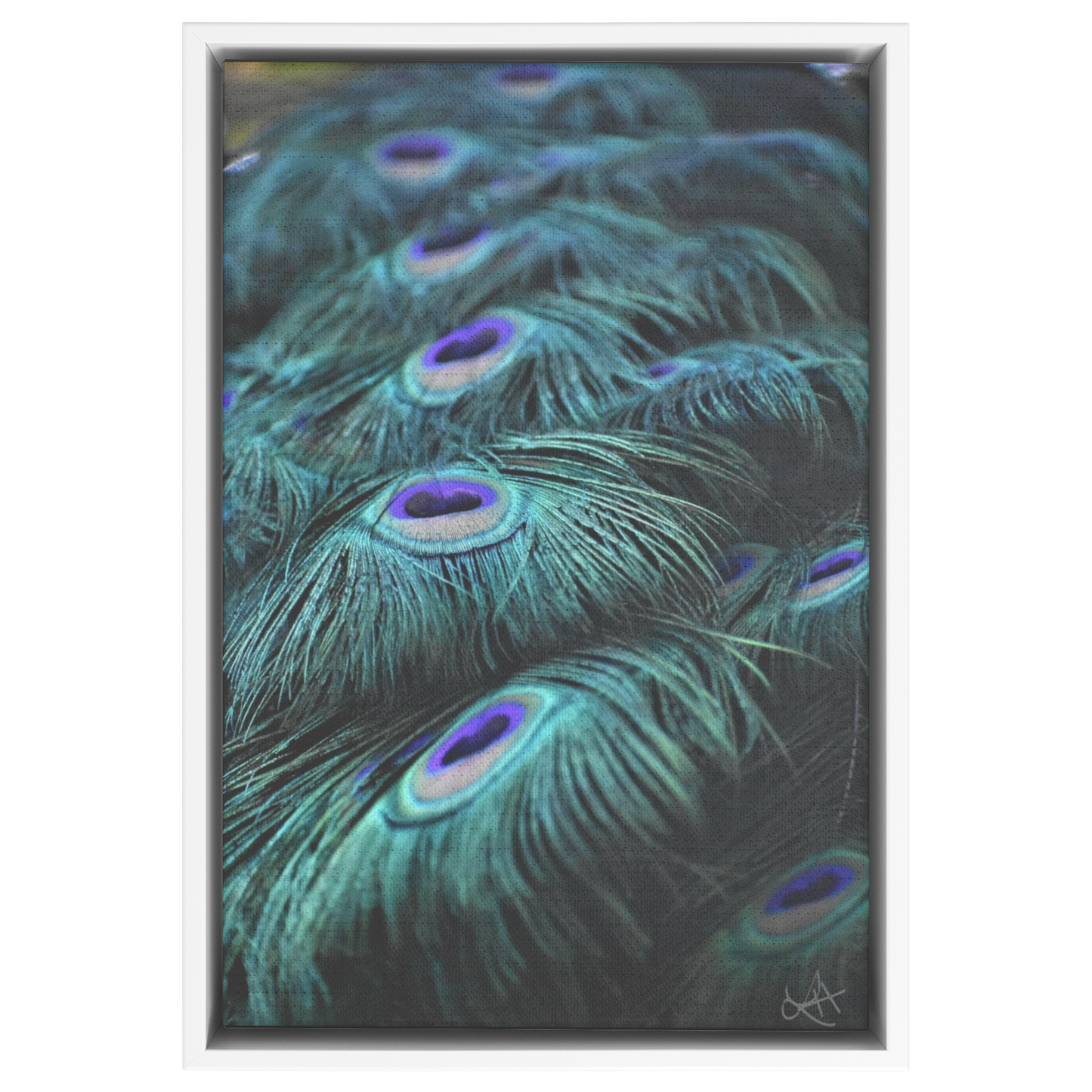 Peacock_Blues_Canvas_White_Framed_Canvas_V_Rectangle_Main_Mockup.png