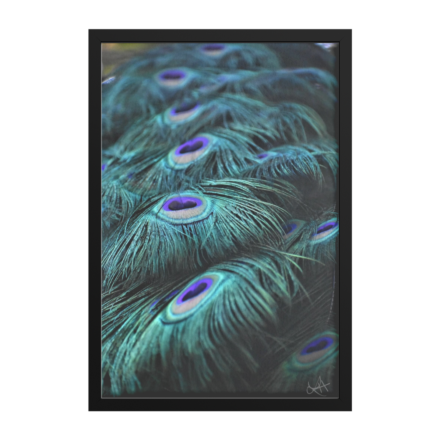 Peacock_Blues_Print_FAP_V_Rectangle_Main_Black_Mockup.png