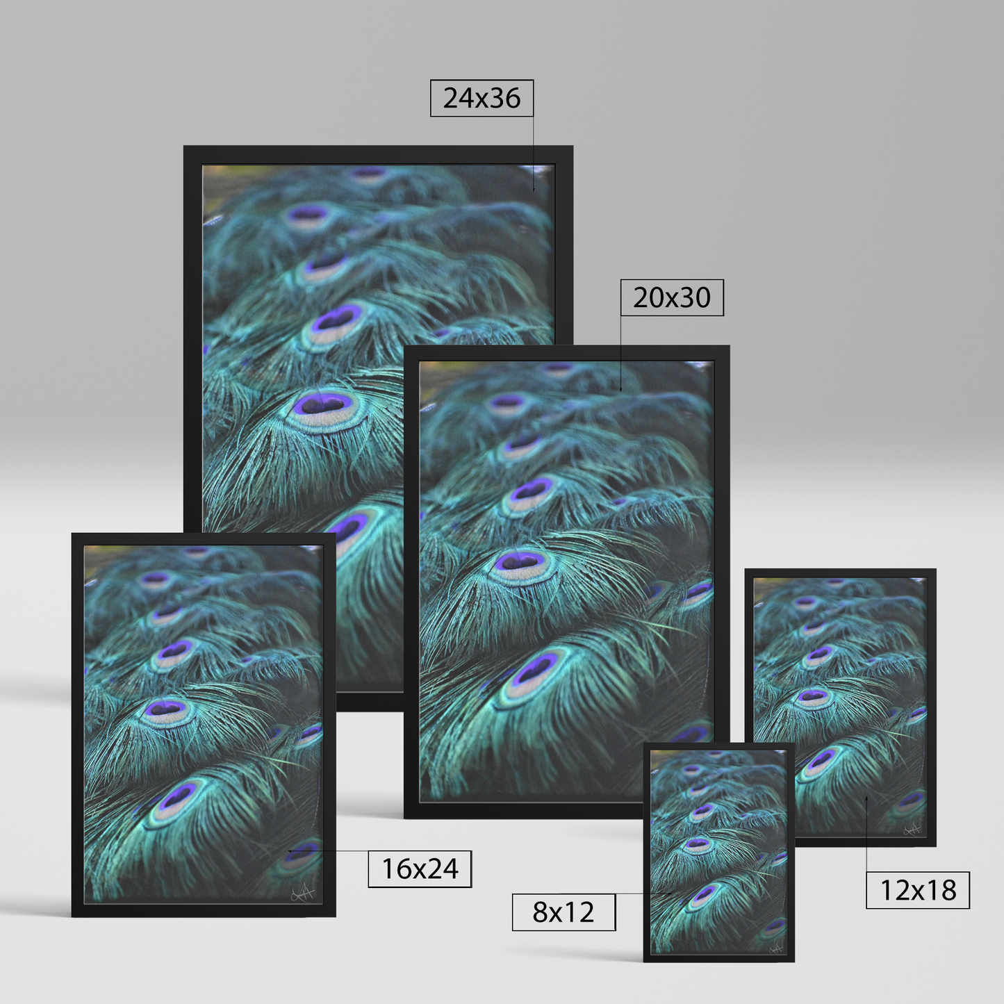 Peacock_Blues_Print_FAP_V_Rectangle_Size_Options_Mockup.png