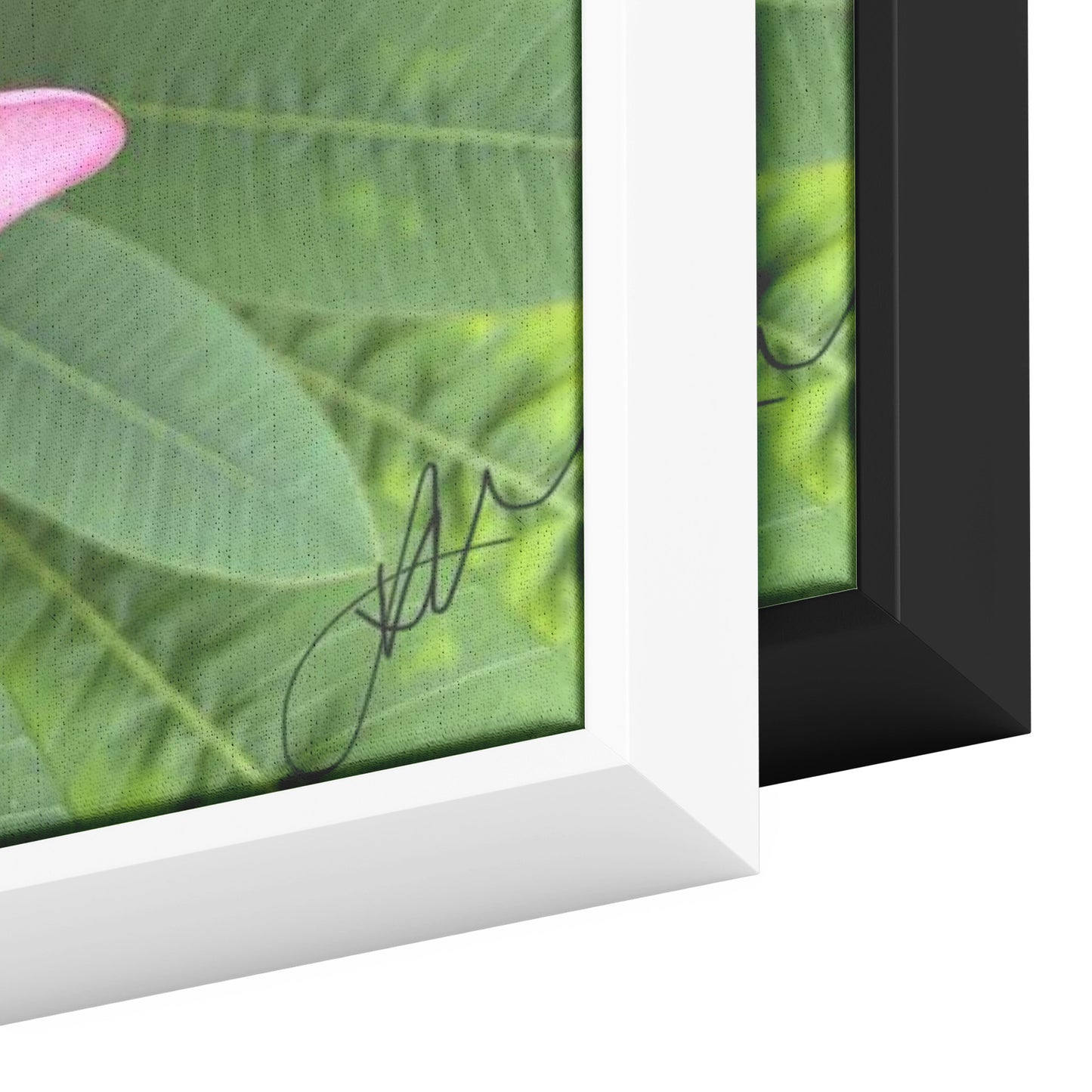 Plumarias (Canvas)
