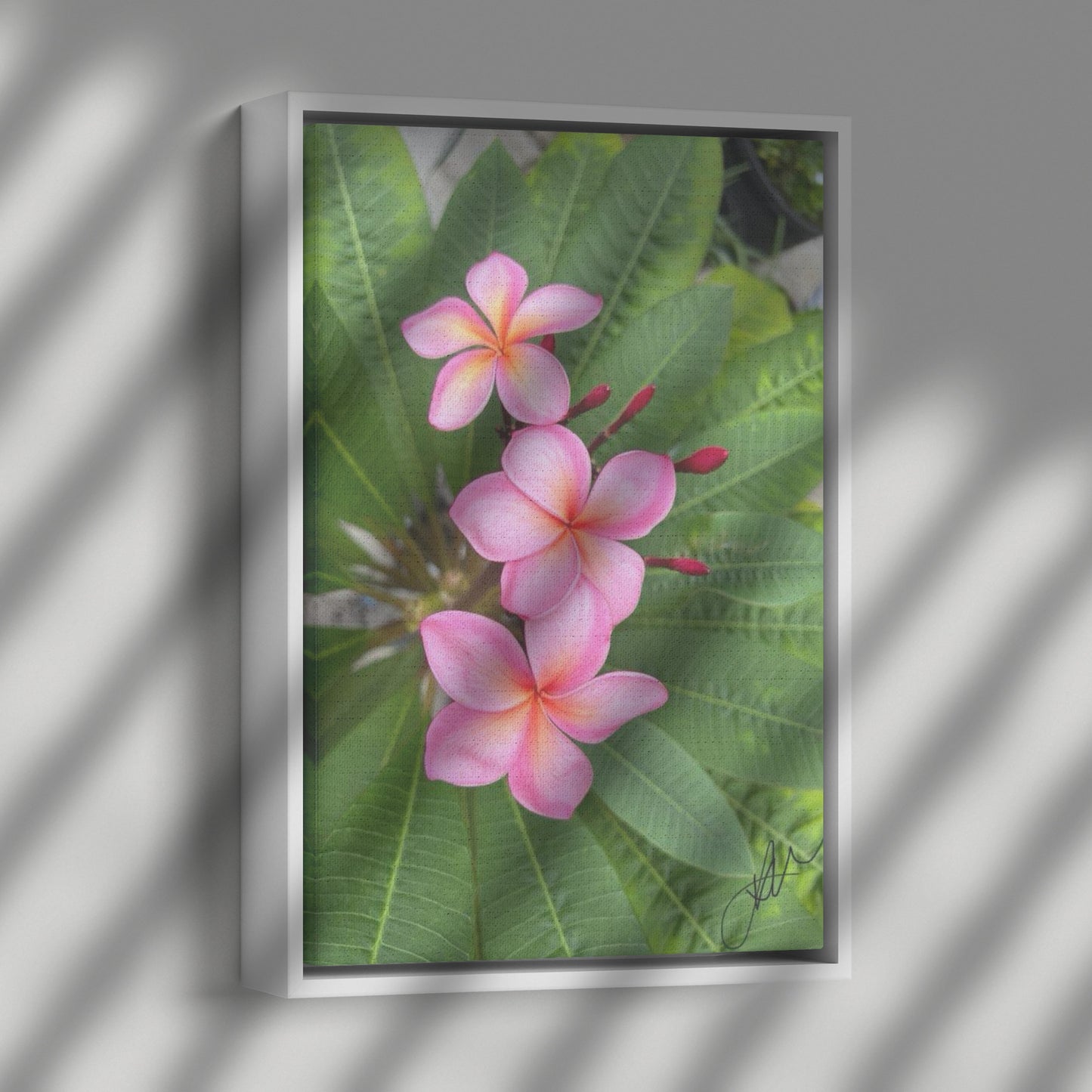 Plumarias (Canvas)