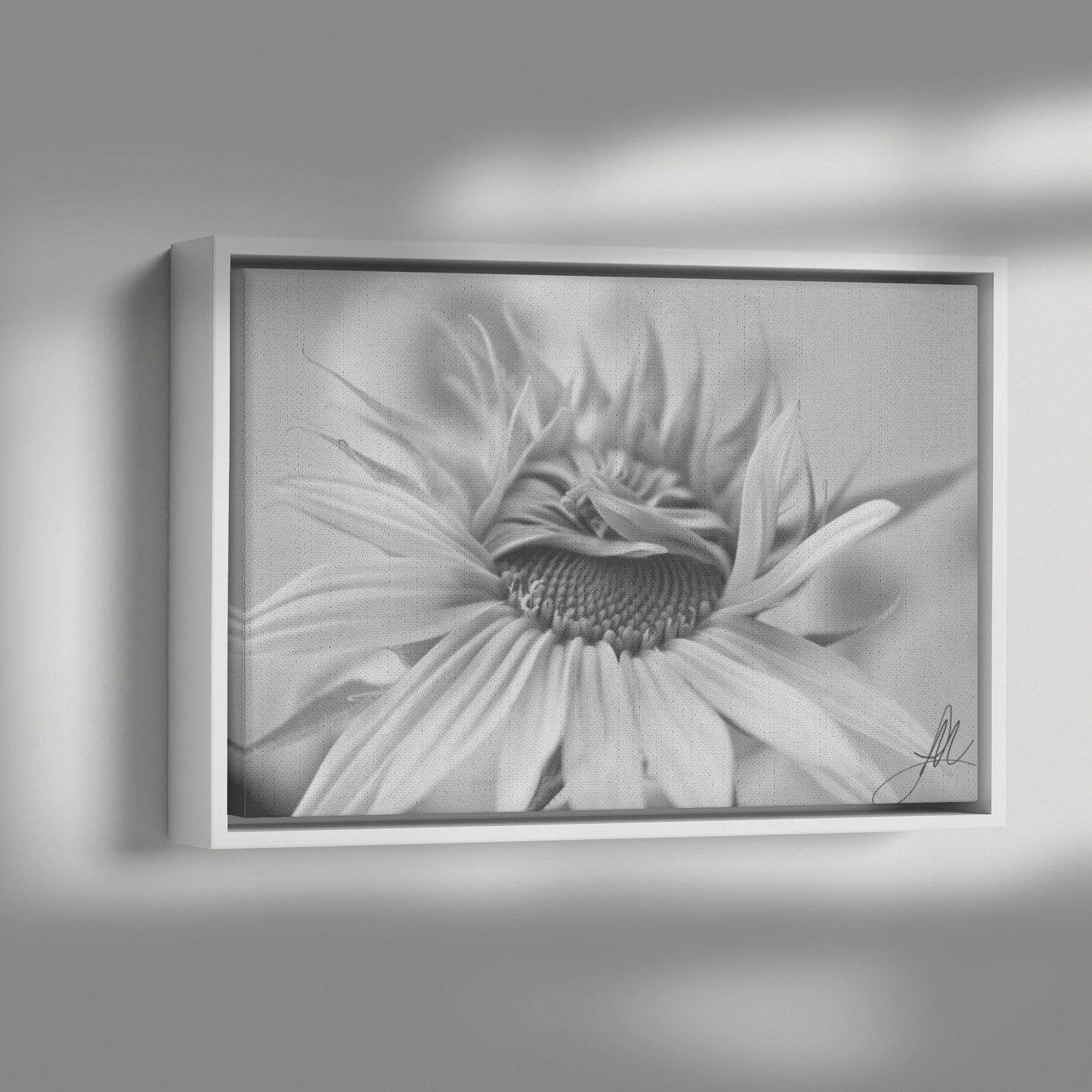 Sunflower (Canvas)