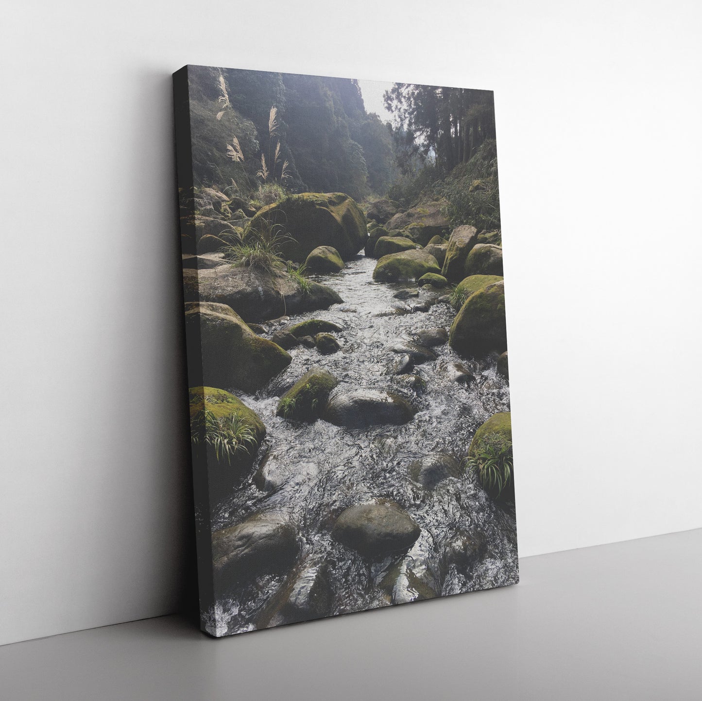 Tranquility Canvas