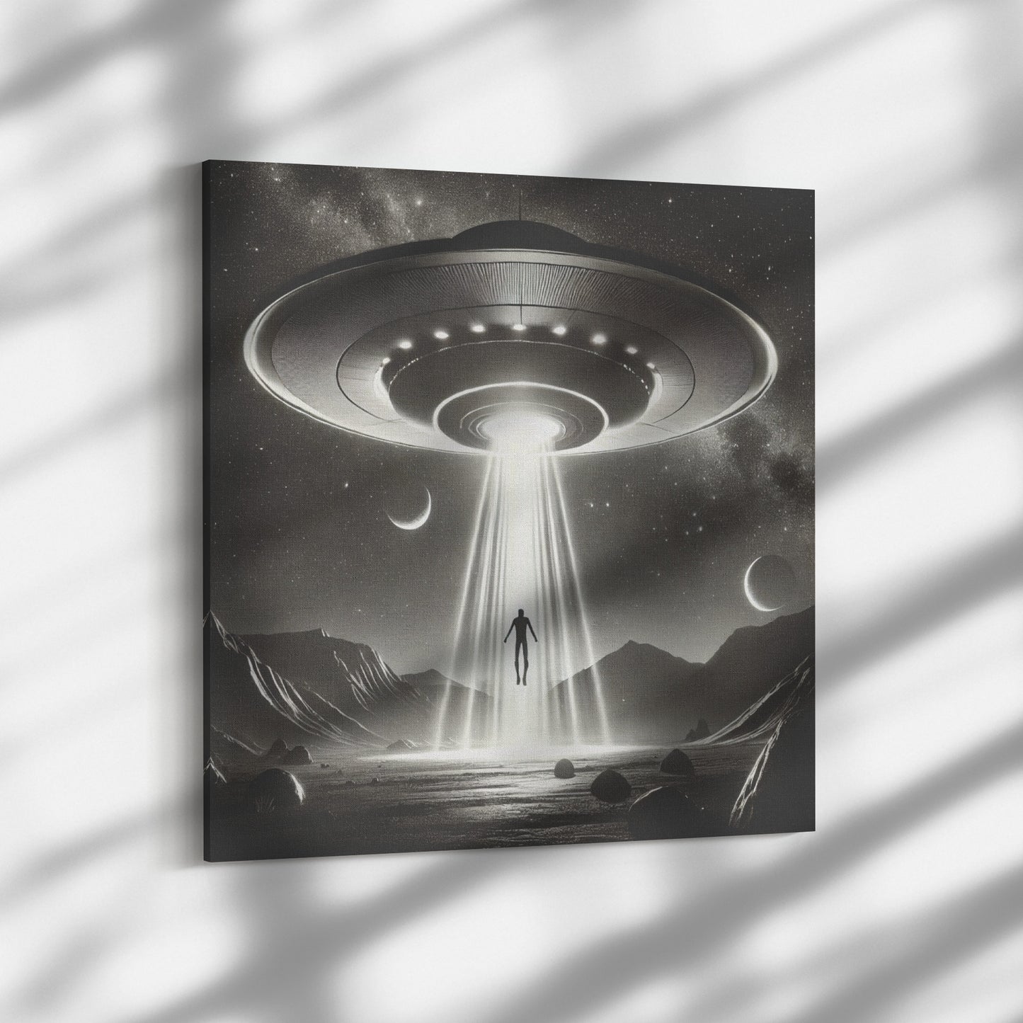 Voluntary Abduction Canvas