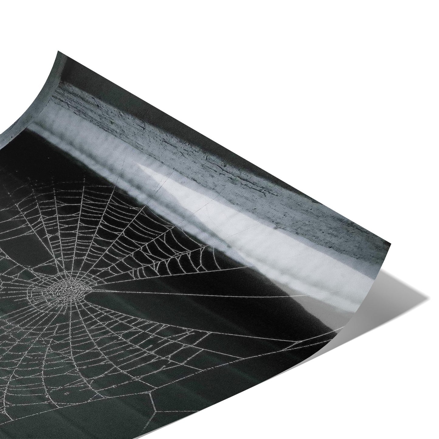 Webbed Static Poster