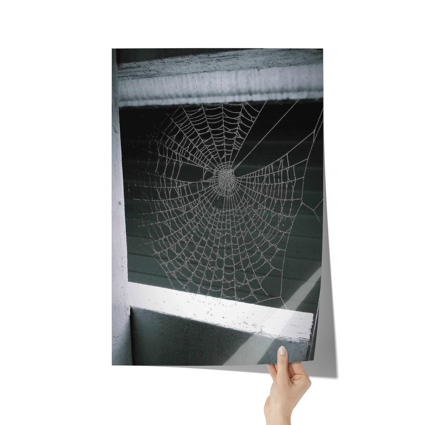 Webbed Static Poster