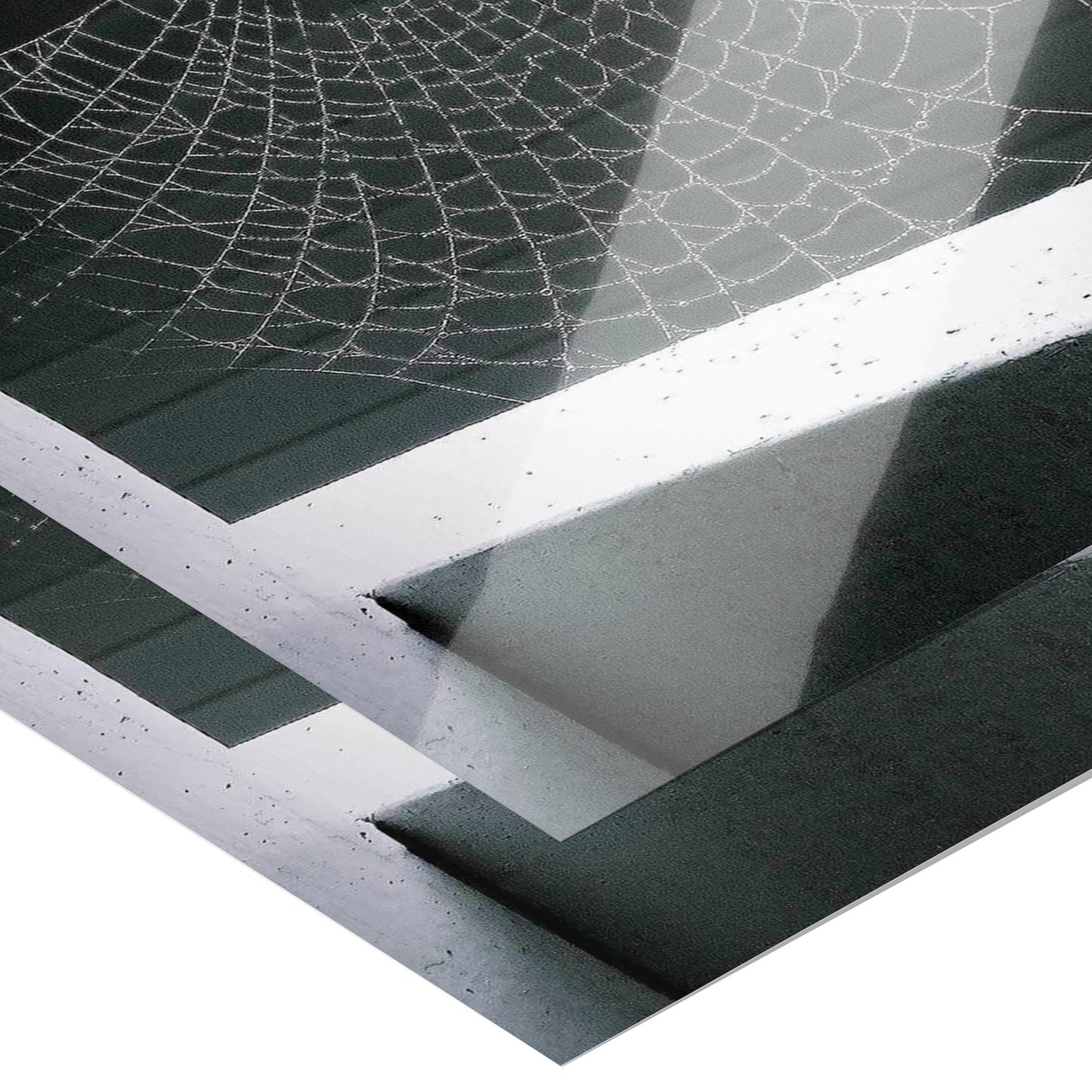 Webbed Static Poster