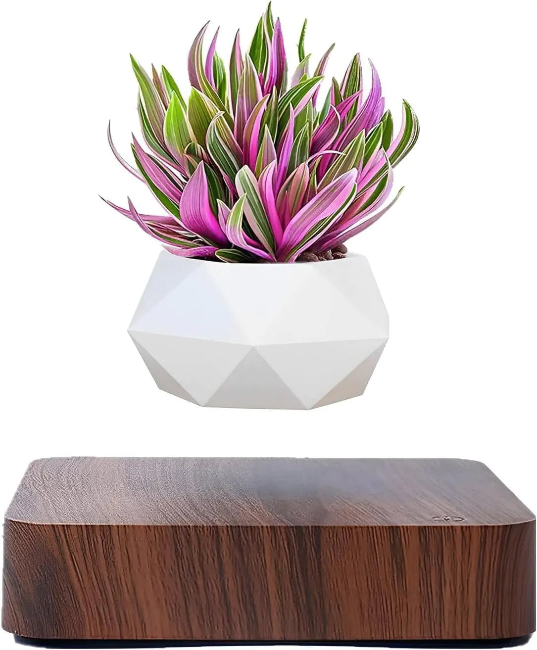 Floating Plants