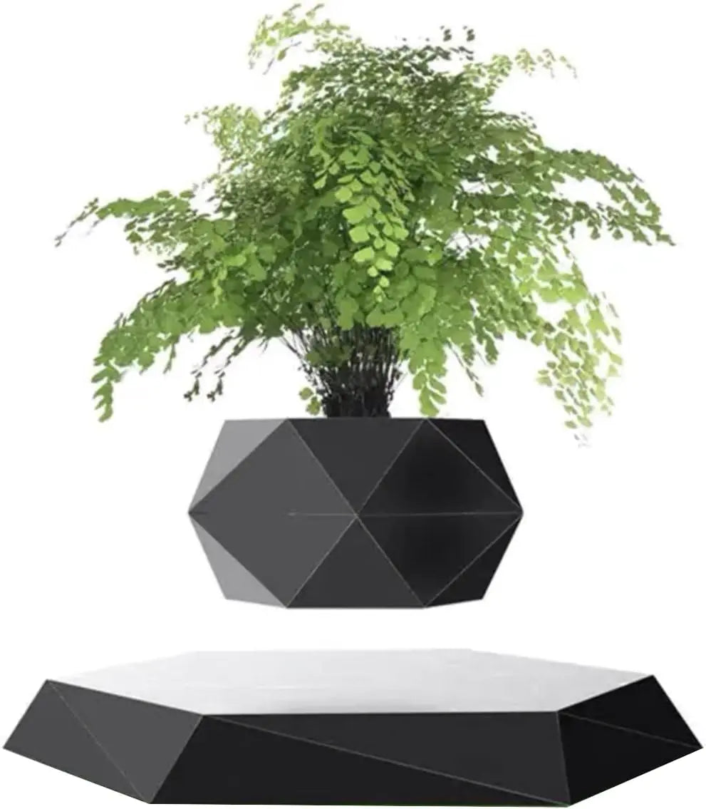 Floating Plants