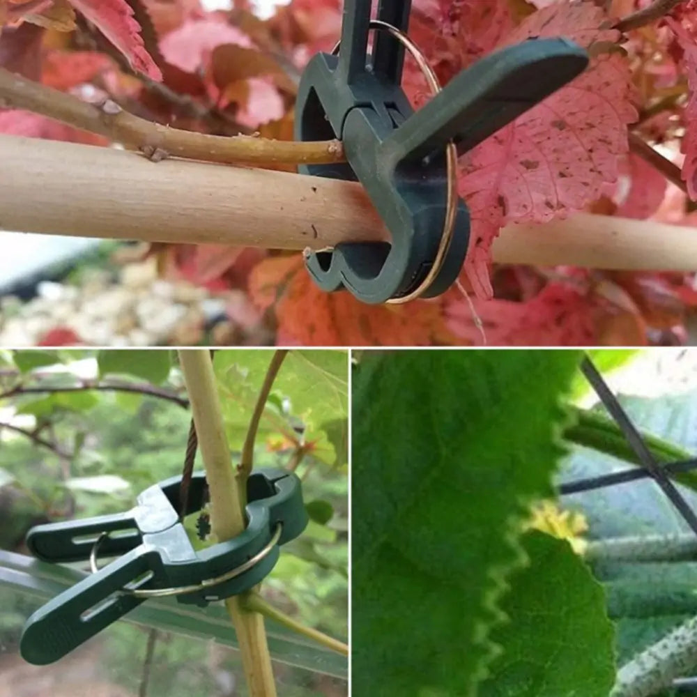 Reusable Plant Clips