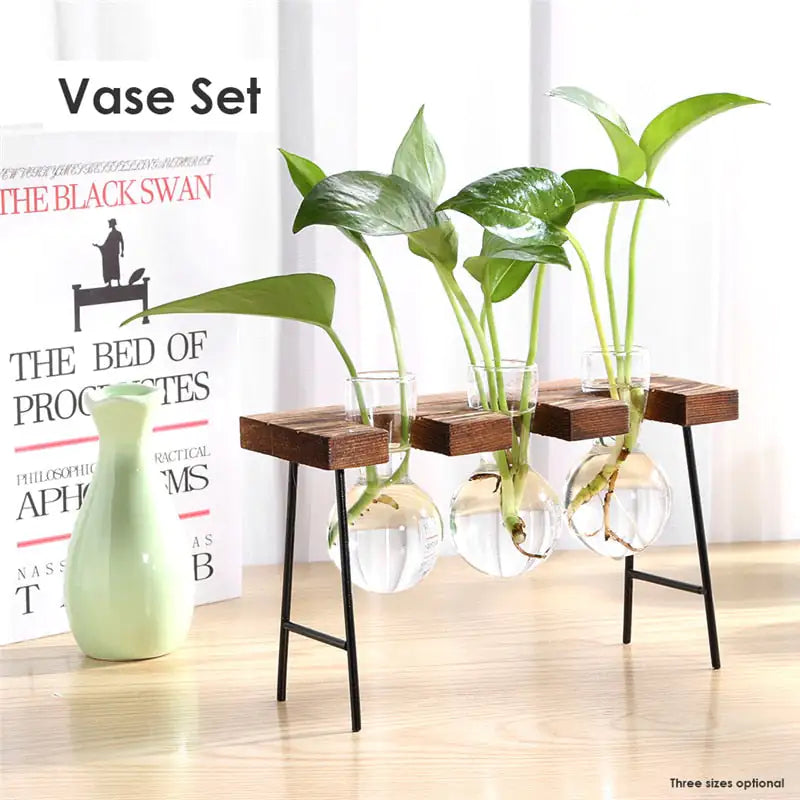Tabletop Terrariums