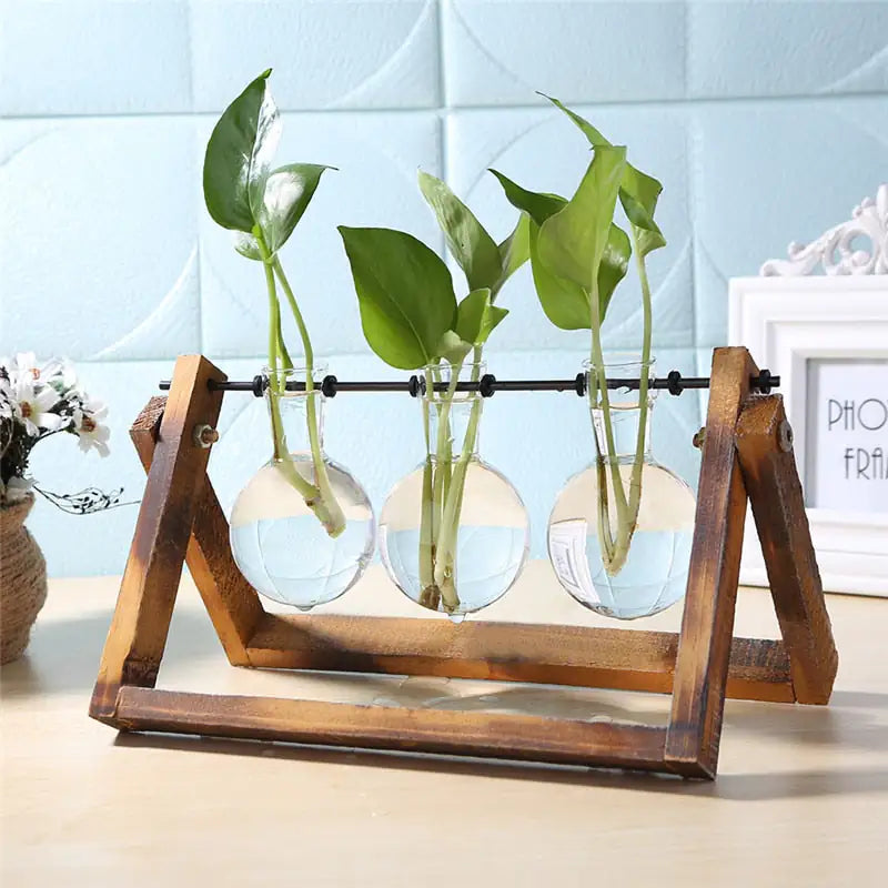 Tabletop Terrariums