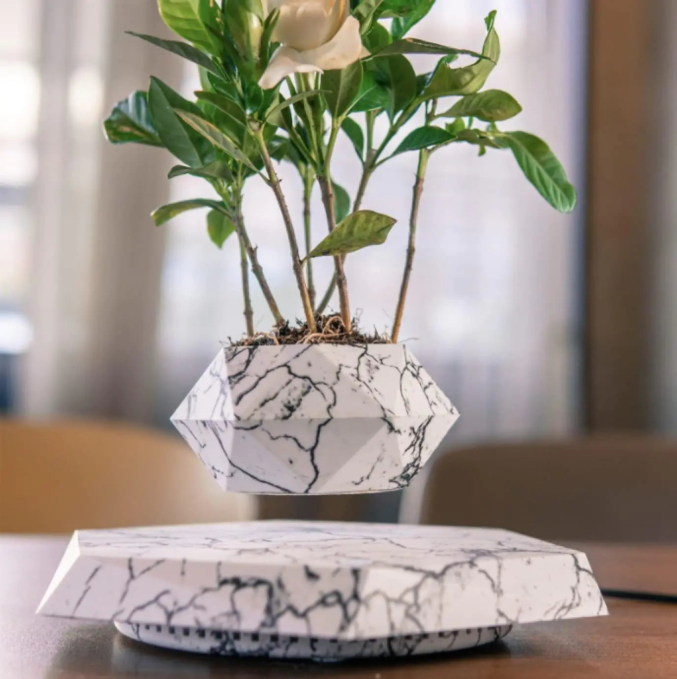 Floating Plants