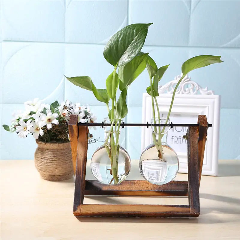 Tabletop Terrariums