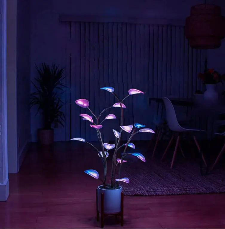 Magic Plant Light