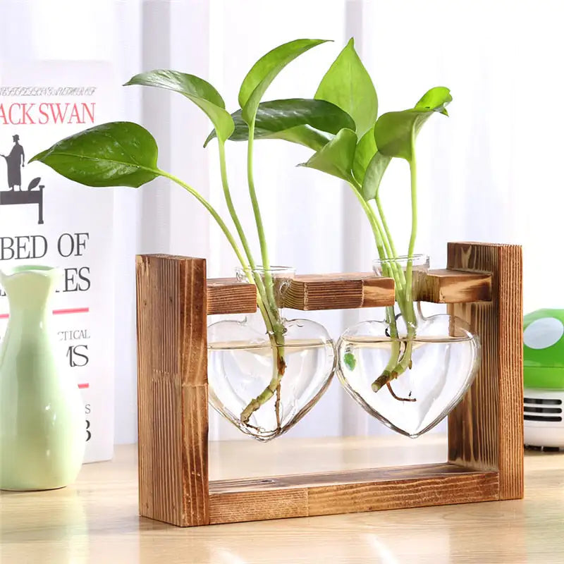 Tabletop Terrariums
