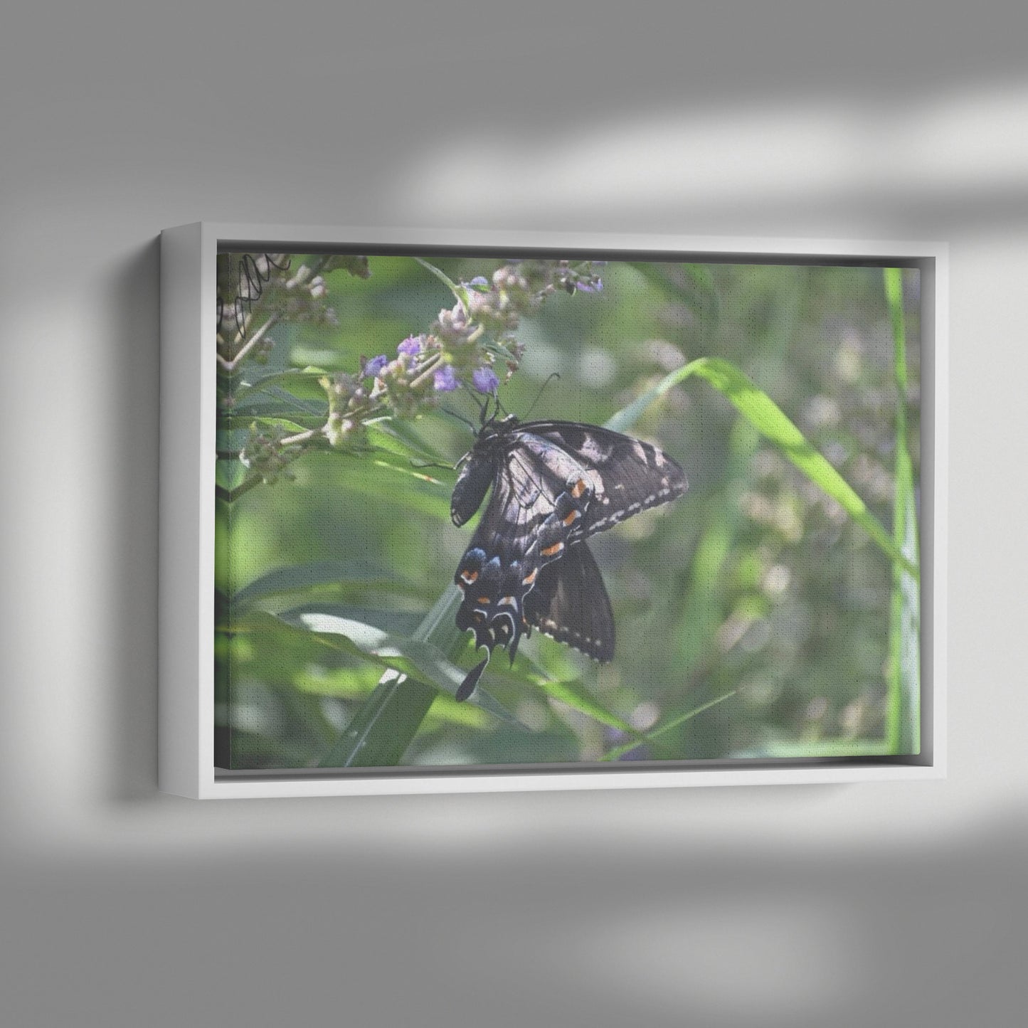 Butterfly (Canvas)