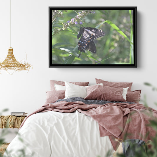 Butterfly (Canvas)
