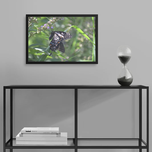 Butterfly (Print)
