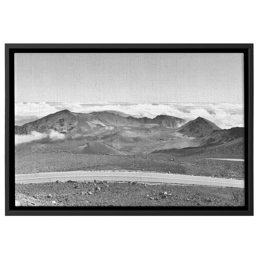 Dormant B&W