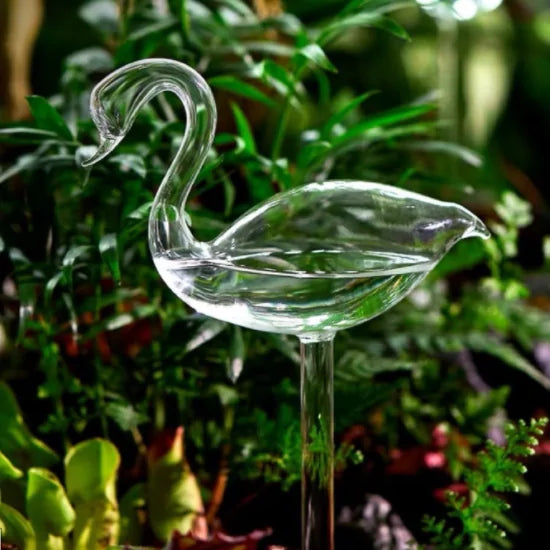 Self Watering Plant Glass