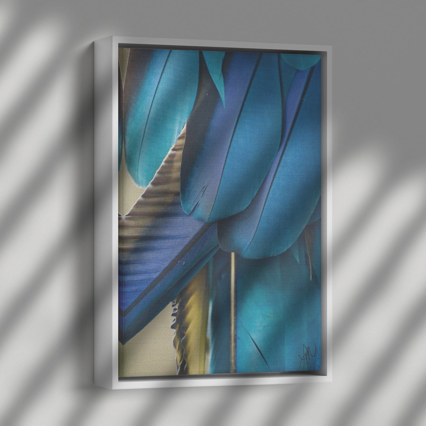 Feathered Shades of Blue