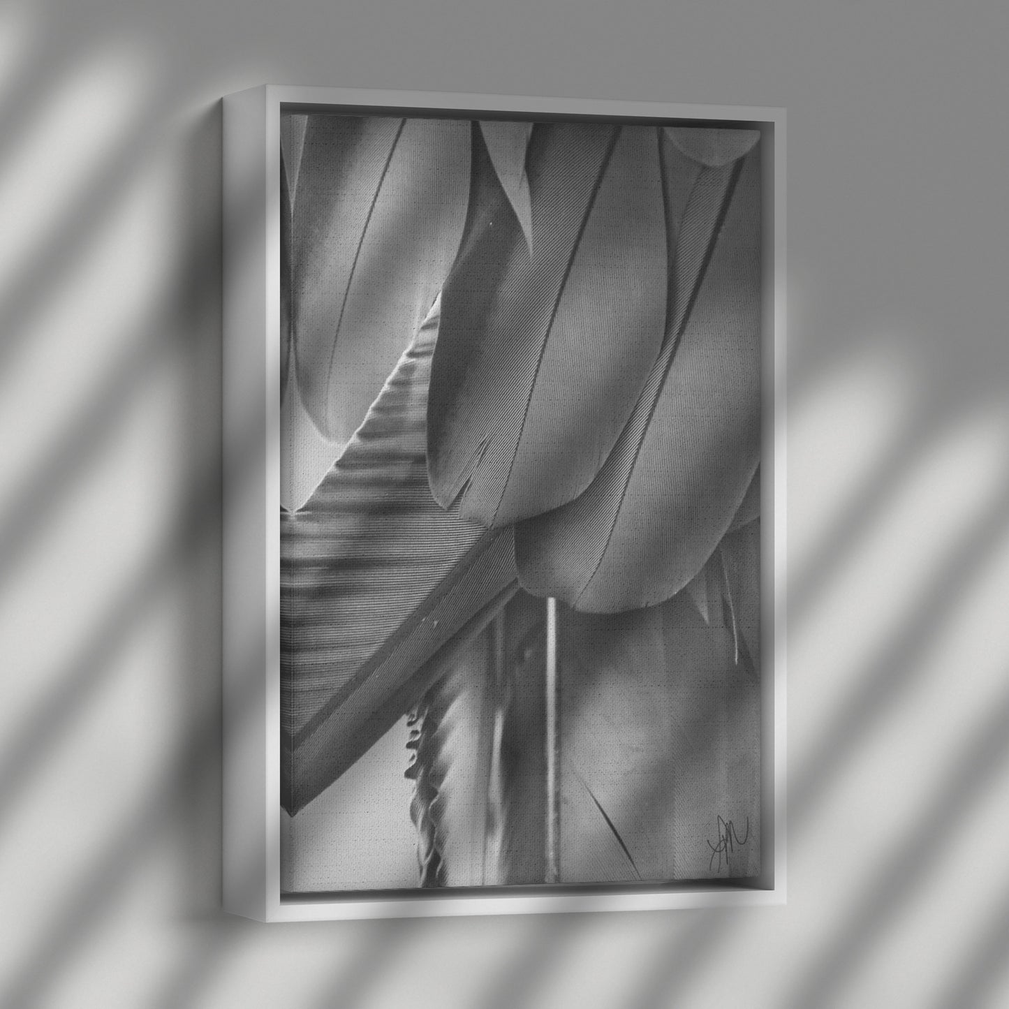 Feathered Shades of Gray