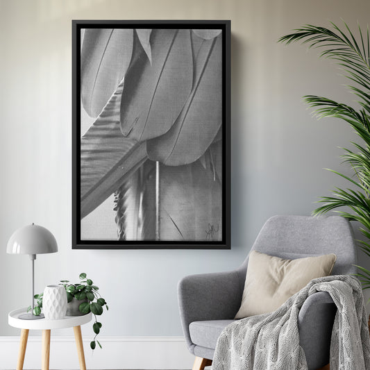 Feathered Shades of Gray