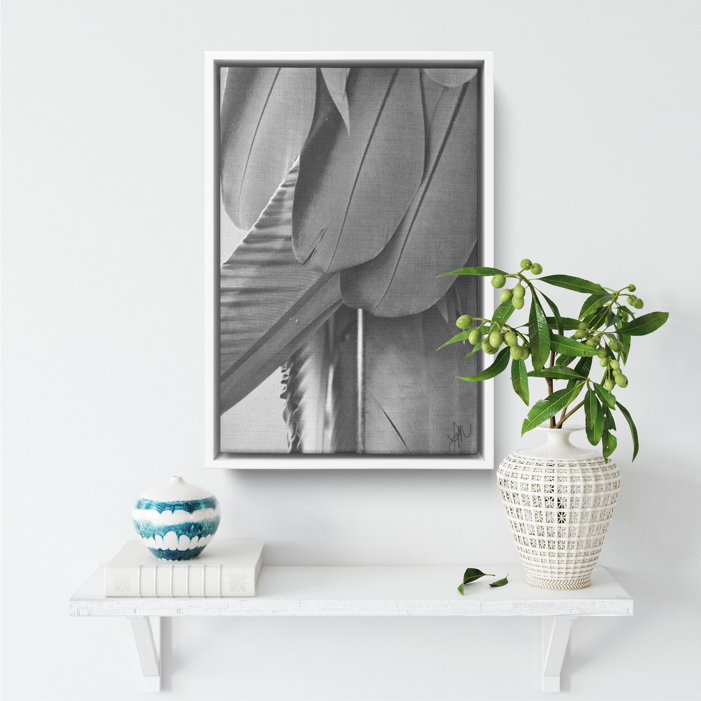 Feathered Shades of Gray