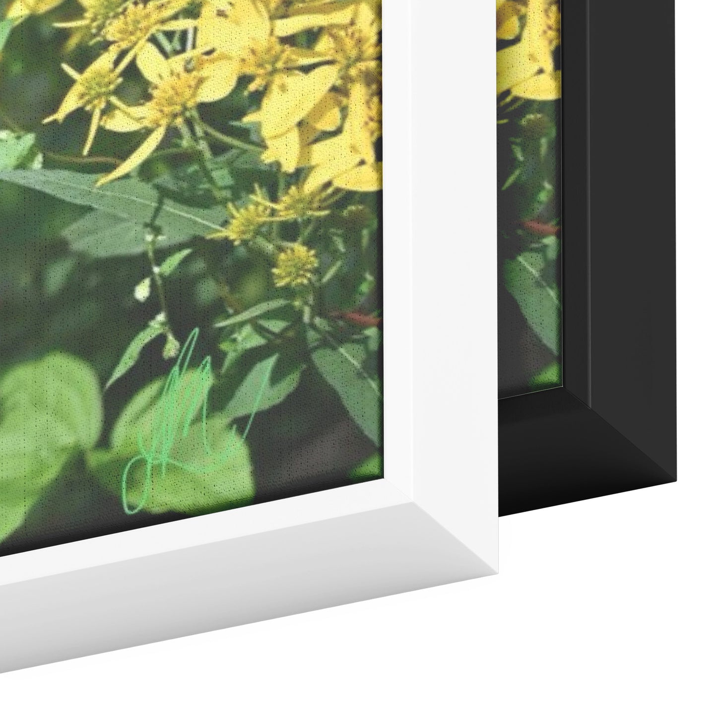 Two Hummingbirds (Canvas)