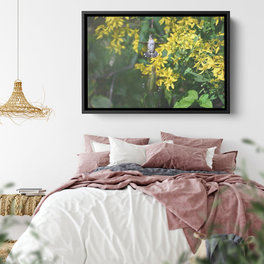Two Hummingbirds (Canvas)