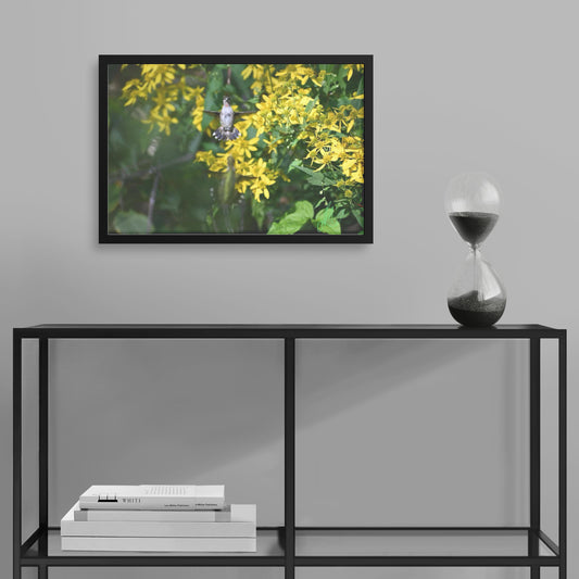 Two Hummingbirds (Print)