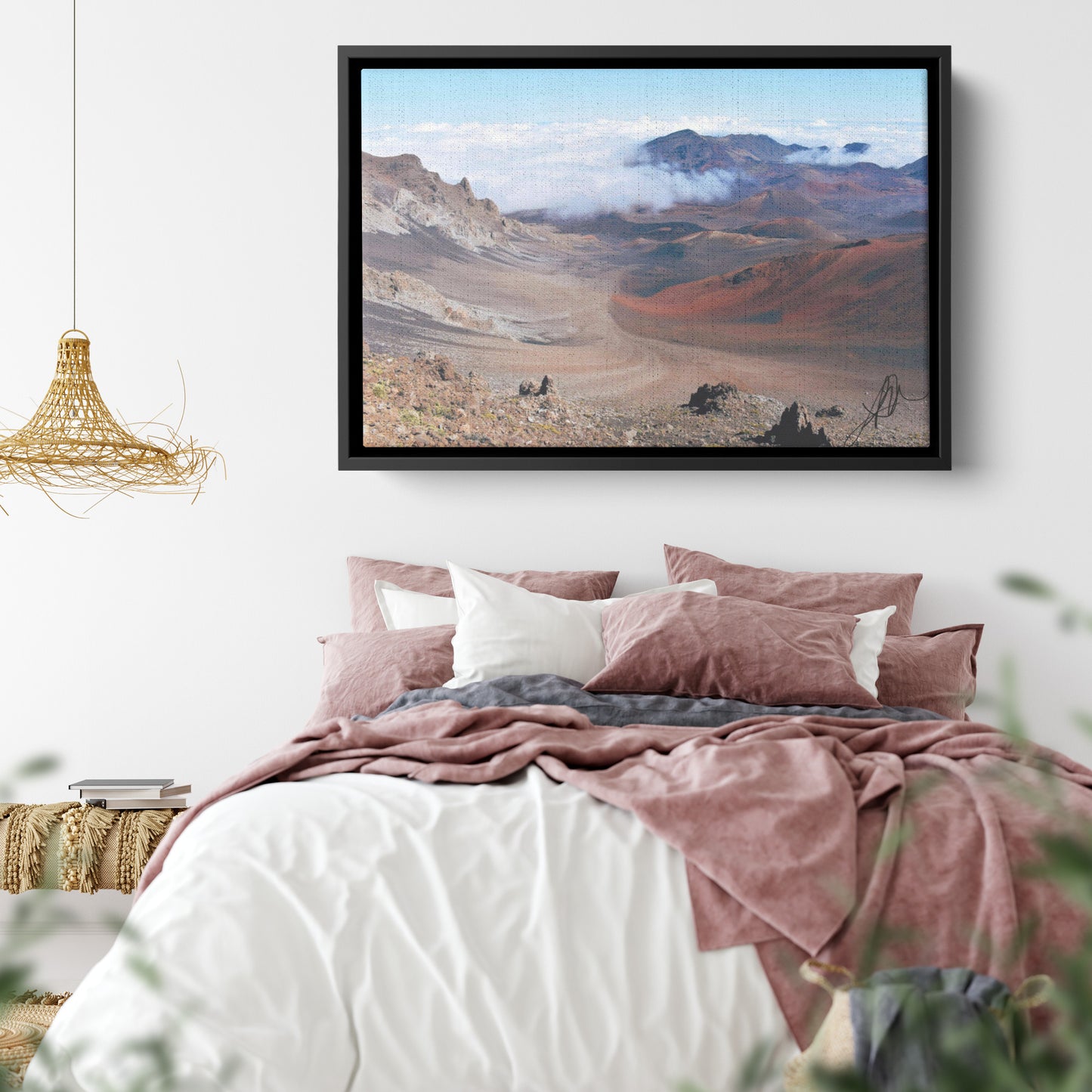 Maui Haleakala National Park (Canvas)