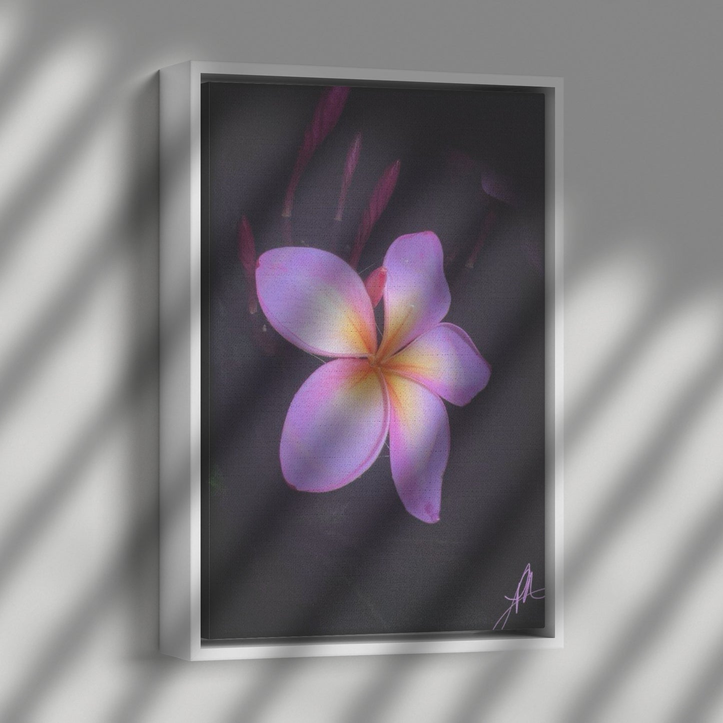 Night Plumaria (Canvas)