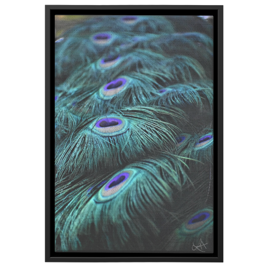 Peacock_Blues_Canvas_Framed_Canvas_V_Rectangle_Main_Mockup.png
