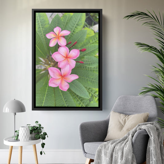 Plumarias (Canvas)