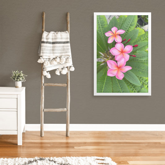Plumarias (Print)