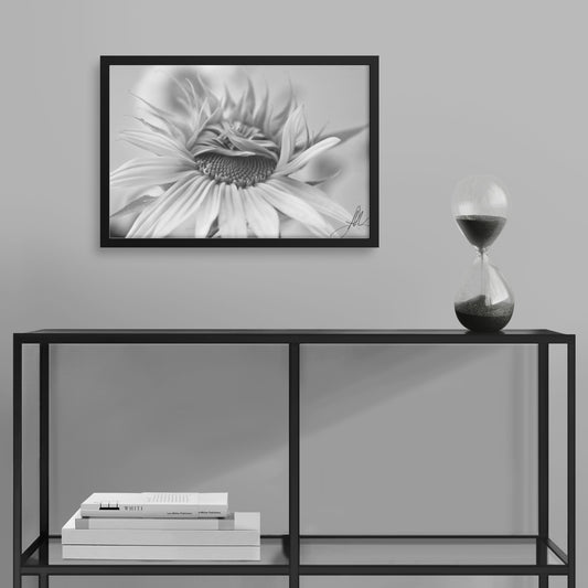Sunflower (Print)